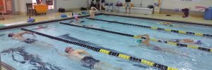Triathlon swim training at Excel Aquatics